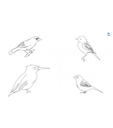Ptaki (2) - zmywalna mata do wyklejania - 67x40 cm