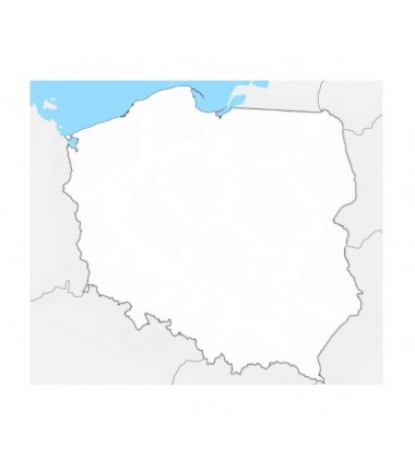 Mapa Polski - 50 x 65 cm - mapa konturowa, tło
