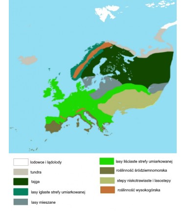 Europe –biome washable map - 65 x 50 cm