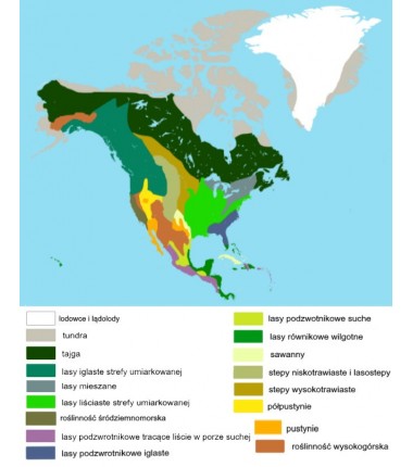 Ameryka Północna - mapa biomowa - 50 x 65 cm