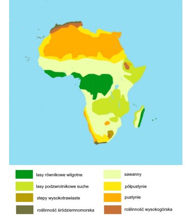 Afryka - mapa biomowa - 50 x 65 cm