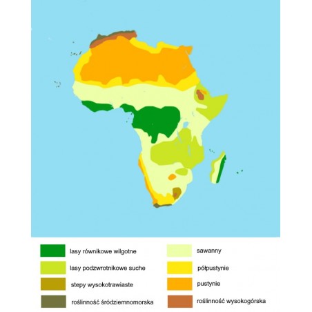Afryka - biome washable map - 50 x 65 cm