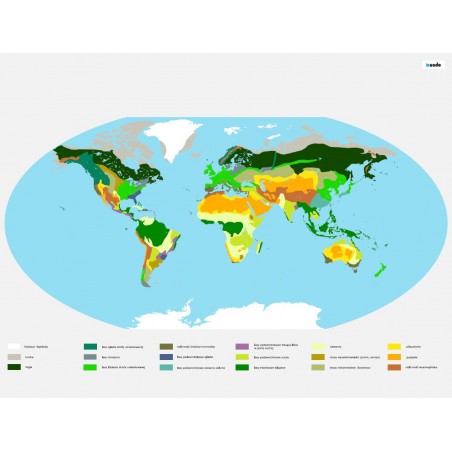 Biomes - washable world map - 130x100 cm