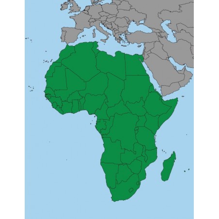 Afryka - 130 x 100 cm - mapa polityczna Montessori